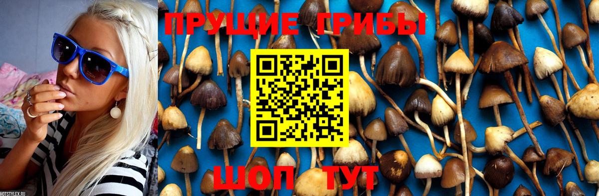 Псилоцибиновые грибы Psilocybine cubensis  Галлюциногенные грибы Magic Shrooms  Орехово-Зуево  Вход с VPN 